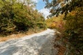 Autumn forest scenery with road of fall leaves, warm light illumining the gold foliage. Footpath in scene autumn forest nature. Royalty Free Stock Photo