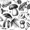 Autumn forest seamless pattern. Vector background with mushrooms, conifers, leaves, berries sketches. Vintage fall season design. Royalty Free Stock Photo