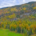 Autumn forest, shot from the drone Royalty Free Stock Photo