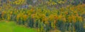 Autumn forest, shot from the drone Royalty Free Stock Photo