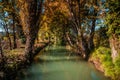 Autumn forest small river Royalty Free Stock Photo