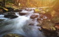 Autumn forest stream in the valley Royalty Free Stock Photo