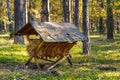 Autumn forest thicket panorama with vintage animal feeding hay rack in Mazowiecki Landscape Park in Celestynow in Poland