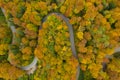 Autumn forest from the top view. Impressive day drone photography with passenger cars and a motor bike following a slow