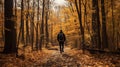 Autumn Forest Trail A Photo-realistic Hikecore Journey With Paul Royalty Free Stock Photo