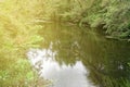 Autumn in forest, tree branch Reflection in water. Royalty Free Stock Photo