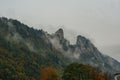 forest trees in Alpine. Majestic foggy sunrise over the mountain forest in autumn. Beautiful rural landscape Royalty Free Stock Photo