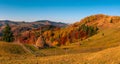 Autumn forest trees in the mountains panorama trees in the mountains Meadow with haystack Royalty Free Stock Photo