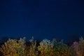 Autumn forest under blue dark night sky Royalty Free Stock Photo