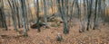 Autumn forest in the valley of the river Jennet, Caucasus, Russia Royalty Free Stock Photo