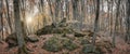 Autumn forest in the valley of the river Jennet, Caucasus, Russia Royalty Free Stock Photo