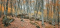 Autumn forest in the valley of the river Jennet, Caucasus, Russia Royalty Free Stock Photo