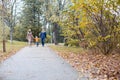 Autumn forest walk with the son family Royalty Free Stock Photo