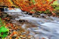 Autumn forest waterfall Royalty Free Stock Photo