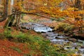 Autumn forest waterfall Royalty Free Stock Photo