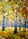 Autumn forest, white birch trees in autumn forest, golden autumn, orange autumn nature. Road in the autumn forest. Green meadow gr