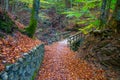 Autumn forest with wood bridge over creek in beeches forest, Italy Royalty Free Stock Photo