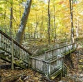 Autumn Forest with Wooden Bridge and Dappled Sunlight Royalty Free Stock Photo