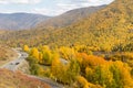 Autumn forest in xinjiang kanas Royalty Free Stock Photo