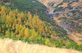 Autumn forest at Ziarska dolina - valley in High Tatras, Slovaki