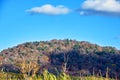 The autumn forests of Changbai Mountains Royalty Free Stock Photo
