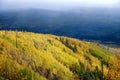 The autumn forests in Great Khingan