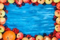 Autumn frame of apples, pumpkin, rowan on painted blue wooden b Royalty Free Stock Photo