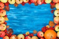 Autumn frame of apples, pumpkin, rowan on painted blue wooden b Royalty Free Stock Photo