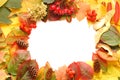 Autumn frame background Royalty Free Stock Photo