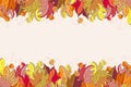 Autumn frame with colorful leaves.