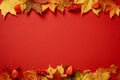Autumn frame. Colorful maple leaves on red background. Autumn, fall, Thanksgiving banner design