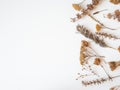 Autumn frame of dried different plants and flowers on white background. Top view. Flat lay. copy space Royalty Free Stock Photo