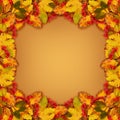 Autumn frame from dry colored leaves and rowan berries Royalty Free Stock Photo