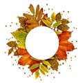 Autumn frame with dry and gold glitter leaves Royalty Free Stock Photo