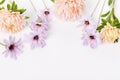 Autumn frame of dusty aster and dry blue flowers, floral composition isolated on white background. Top view with copy Royalty Free Stock Photo