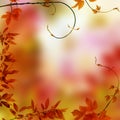 Autumn frame