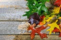 Autumn frame for fallen dry leaves of yellow, red, orange, laid out on the left side of the frame on wooden board Royalty Free Stock Photo