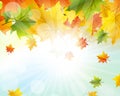 Autumn Frame Royalty Free Stock Photo