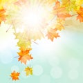 Autumn Frame Royalty Free Stock Photo