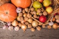 Autumn frame with free space for subtitles. Harvest of vegetables and fruits arranged in a basket and on old wooden boards. Royalty Free Stock Photo