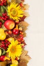 Autumn frame with fruits,pumpkins and sunflowers