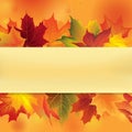 Autumn frame with leaves. Fall leaf background Royalty Free Stock Photo