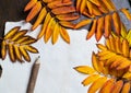 Autumn frame with leaves and old paper