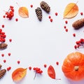 Autumn frame with leaves, rowan berries, orange pumpkins, pine cones on pastel background, flat lay. Fall, thanksgiving concept. Royalty Free Stock Photo