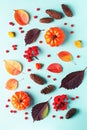 Autumn frame with leaves, rowan berries, orange pumpkins, pine cones on pastel background, flat lay. Fall, thanksgiving concept. Royalty Free Stock Photo