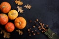 Autumn frame made of pumpkins, tree leaves, hazelnuts on black background. Autumn, fall, thanksgiving concept. Flat lay, copy