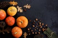 Autumn frame made of pumpkins, tree leaves, hazelnuts on black background. Autumn, fall, thanksgiving concept. Flat lay, copy