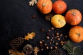 Autumn frame made of pumpkins, tree leaves, hazelnuts on black background. Autumn, fall, thanksgiving concept. Flat lay, copy