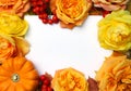 Autumn frame. Maple, oak leaves, orange pumpkin, roses, rowan berries and empty white paper card. Fall and Thanksgiving concept. F