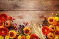 Autumn frame with orange and yellow gerbera flowers, decorative pumpkins, wheat ears.Beautiful nature composition for Thanksgiving